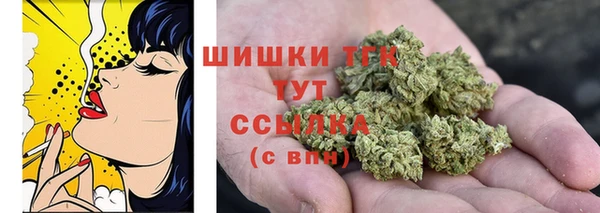 соль ск Белокуриха