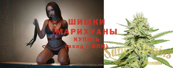 соль ск Белокуриха