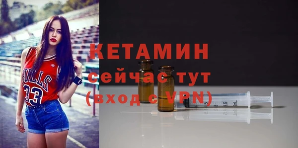 шишки Карпинск