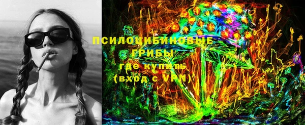 соль ск Белокуриха