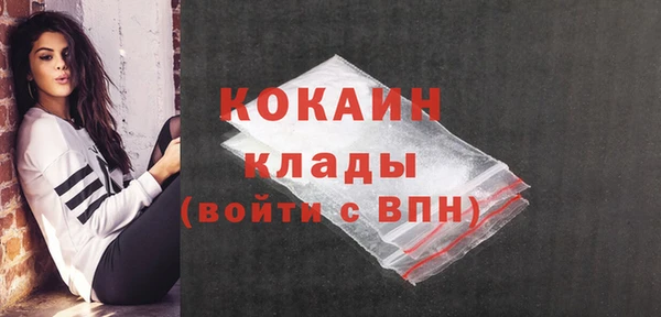 соль ск Белокуриха